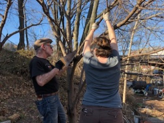 Tom A and Jo pruning