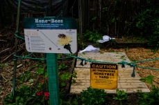 Honeybee yard